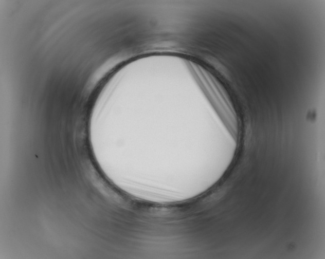 X0000113741458200910211114