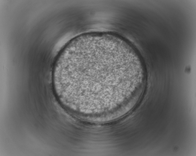 X0000113741459200910211114