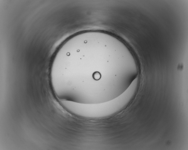 X0000113741460200910211114