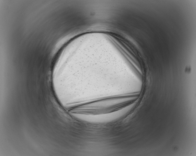 X0000113741461200910211114