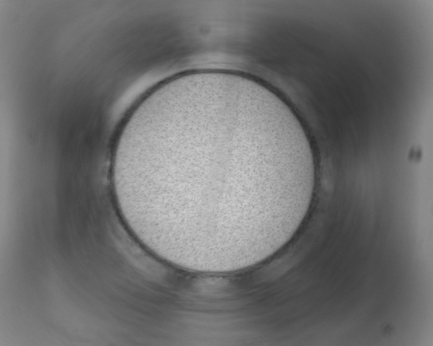 X0000113741462200910211114