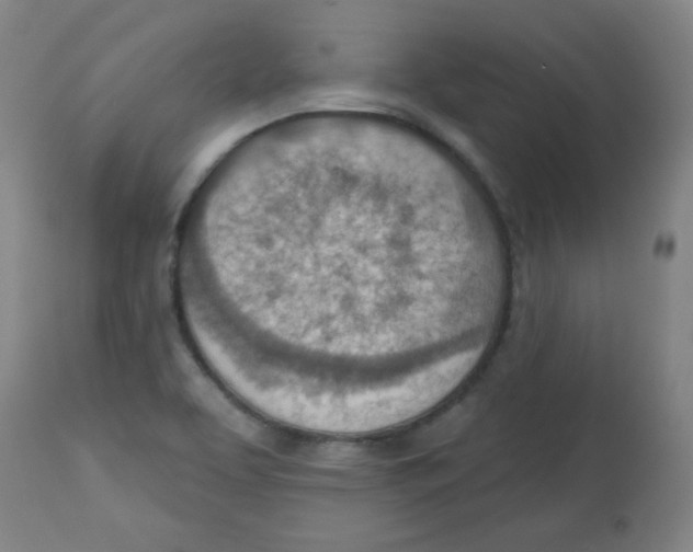 X0000113741463200910211114