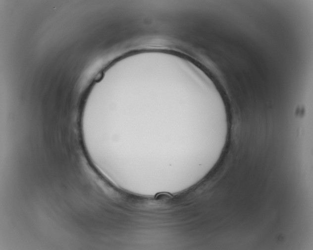 X0000113741464200910211114