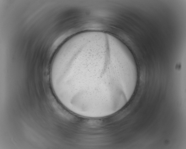 X0000113741466200910211114