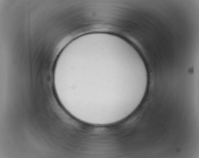 X0000113741467200910211114