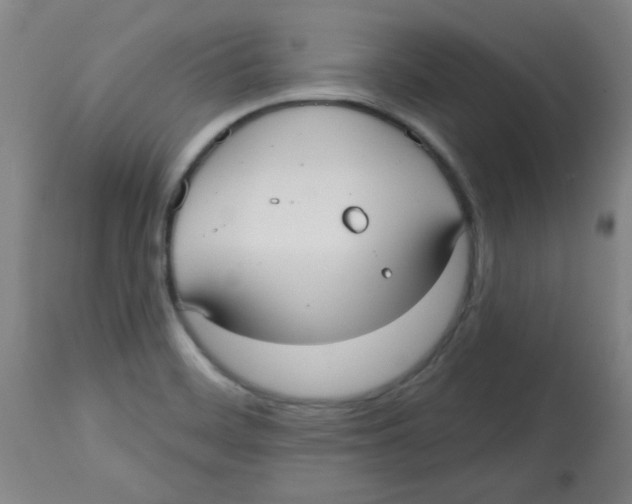 X0000113741468200910211114