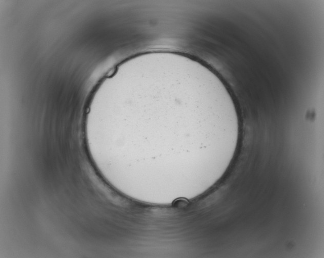 X0000113741469200910211114