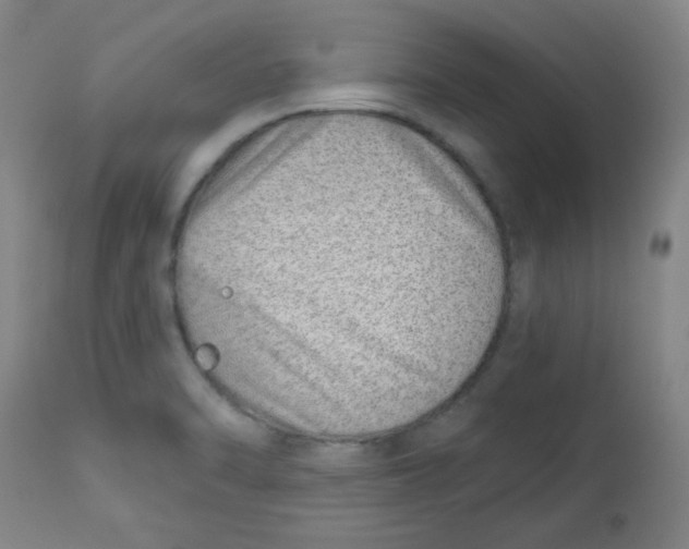 X0000113741470200910211114