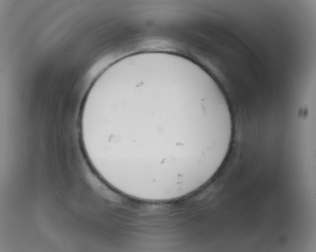 X0000113741471200910211114