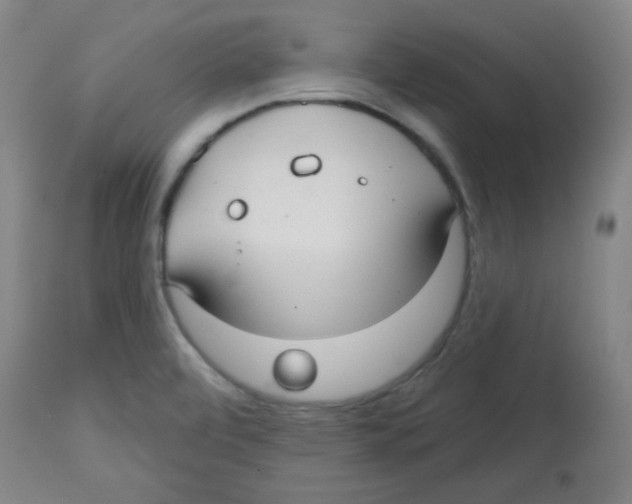 X0000113741472200910211114