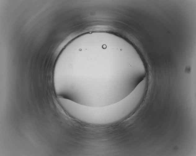 X0000113741473200910211114