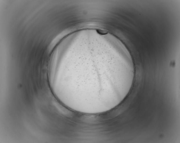 X0000113741474200910211114