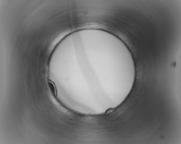 X0000113741476200910211114