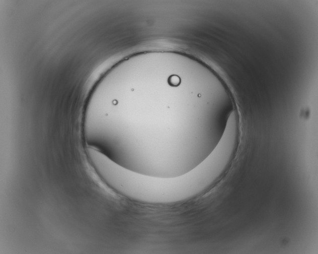 X0000113741477200910211114