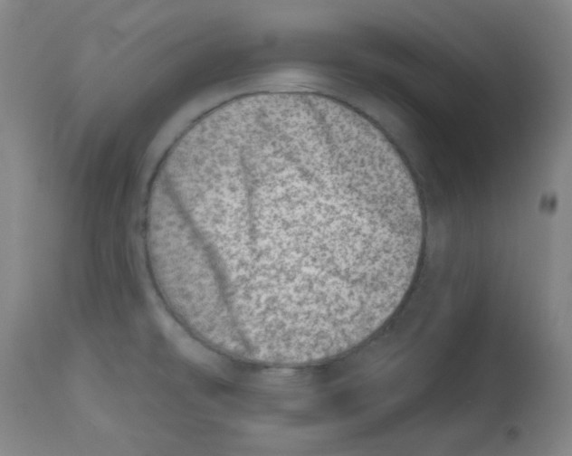 X0000113741478200910211114