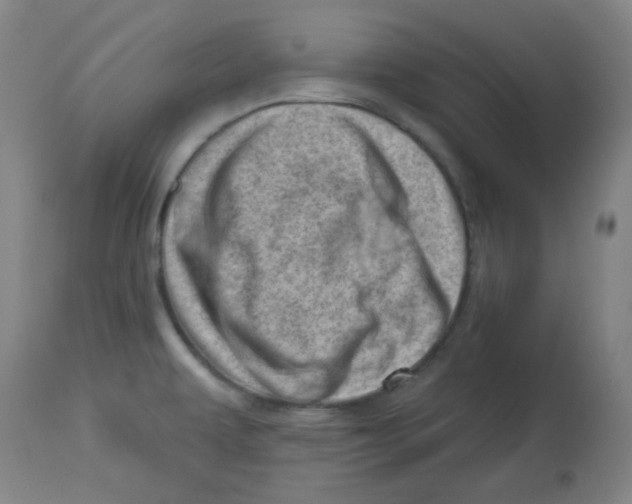 X0000113741479200910211114