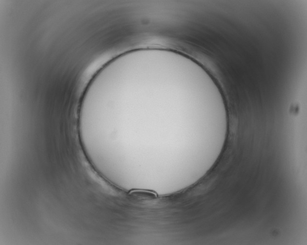 X0000113741480200910211114