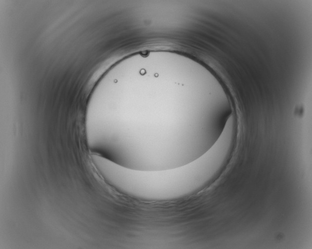 X0000113741481200910211113