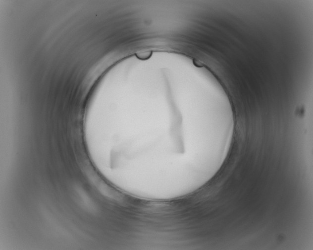 X0000113741482200910211113