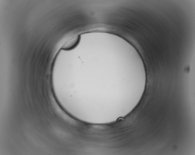 X0000113741483200910211113