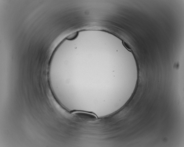 X0000113741484200910211113