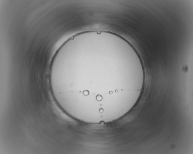 X0000113741486200910211113