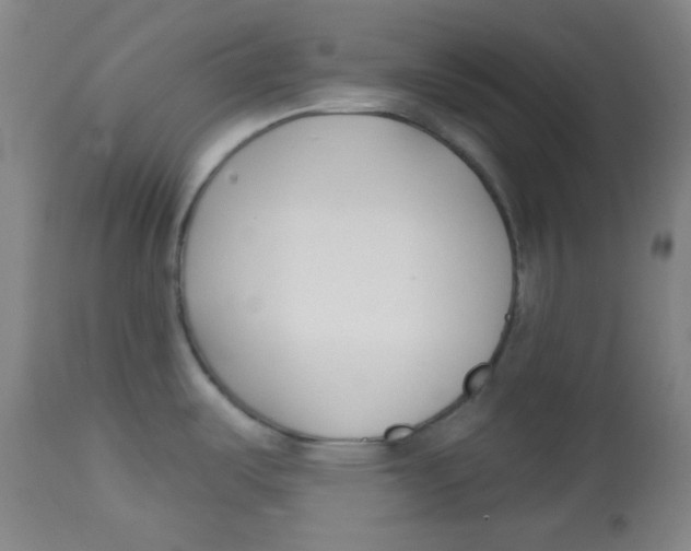 X0000113741487200910211113