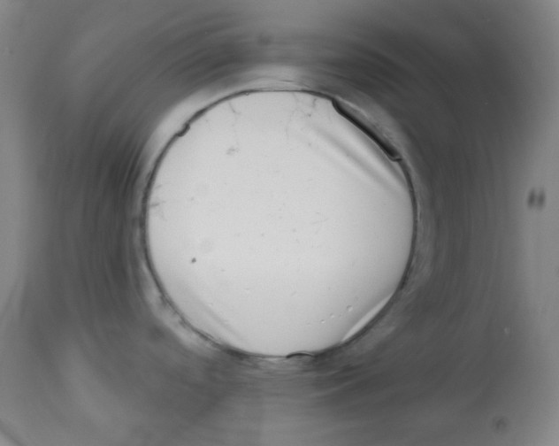 X0000113741488200910211113