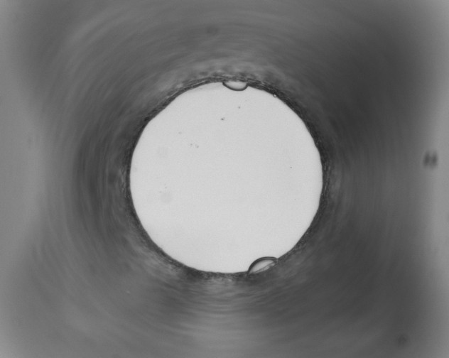 X0000113741489200910211113