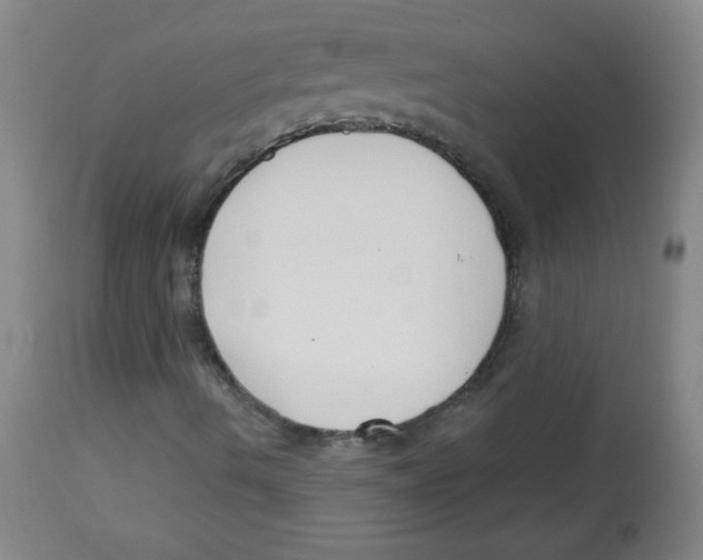 X0000113741490200910211113