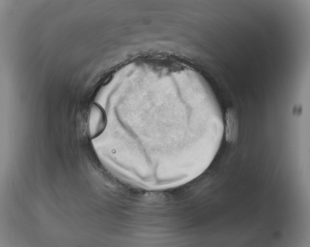 X0000113741491200910211113