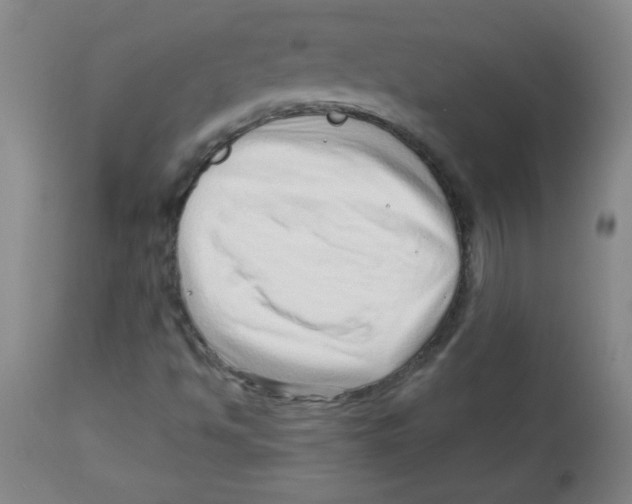 X0000113741494200910211113