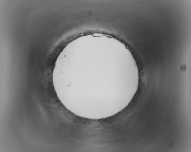 X0000113741495200910211113