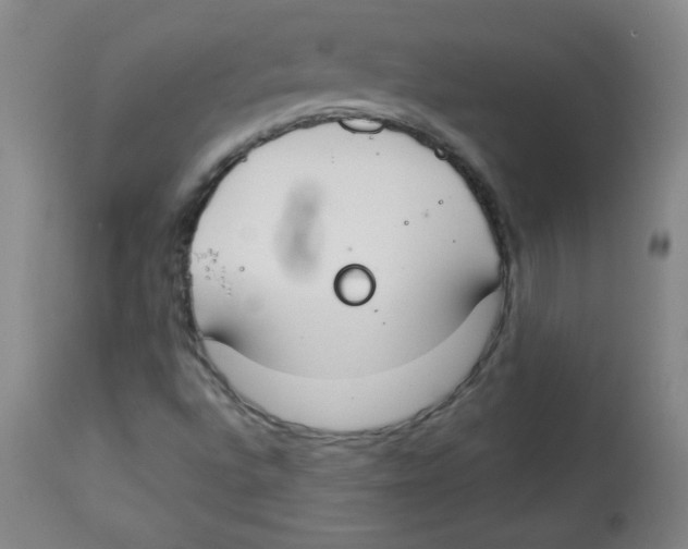 X0000113741496200910211113