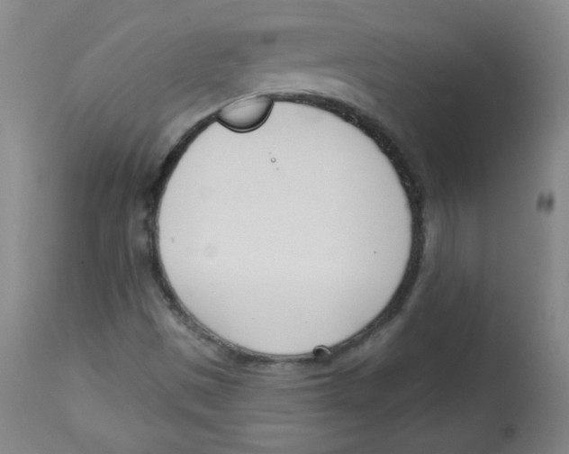 X0000113741497200910211113