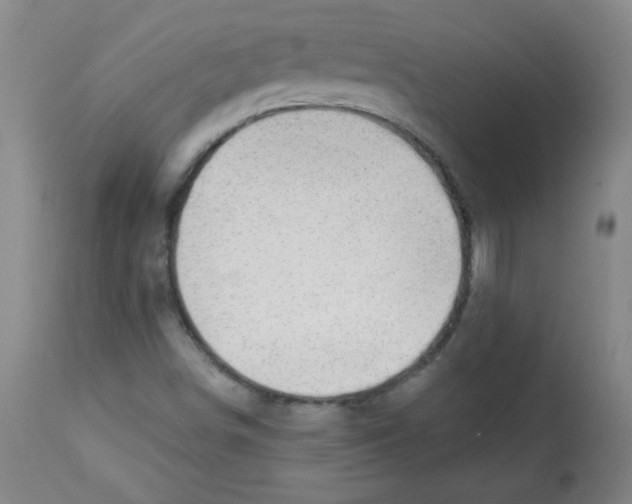 X0000113741498200910211113