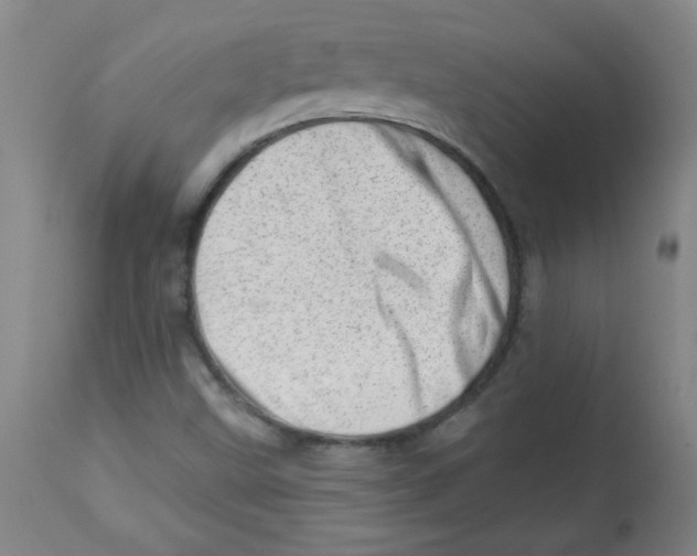 X0000113741499200910211113