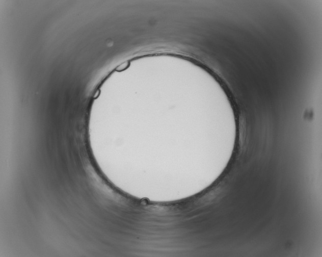 X0000113741500200910211113