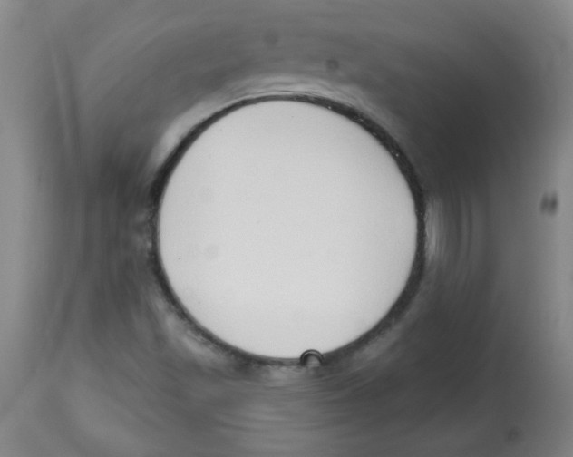 X0000113741501200910211113