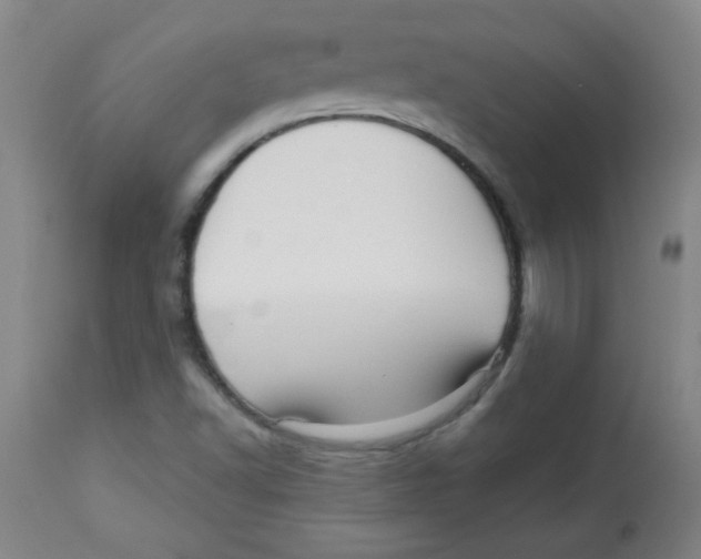 X0000113741502200910211113