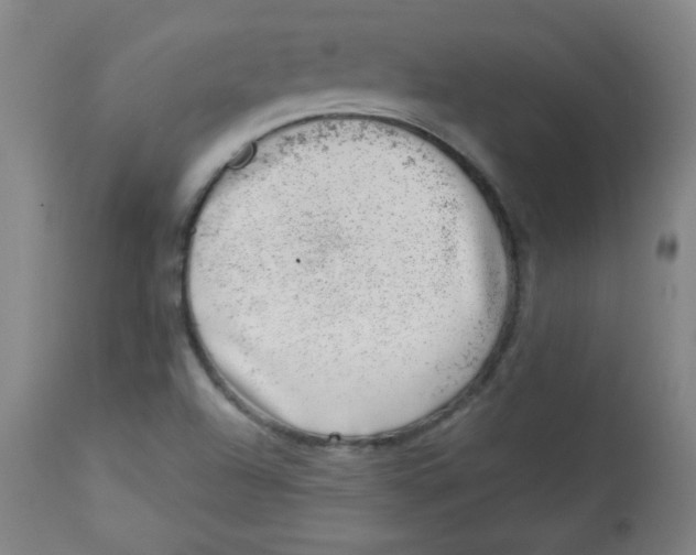 X0000113741504200910211113