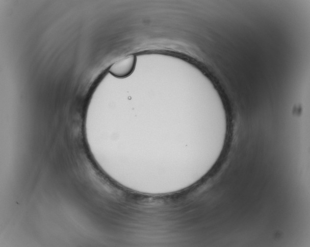 X0000113741505200910211113