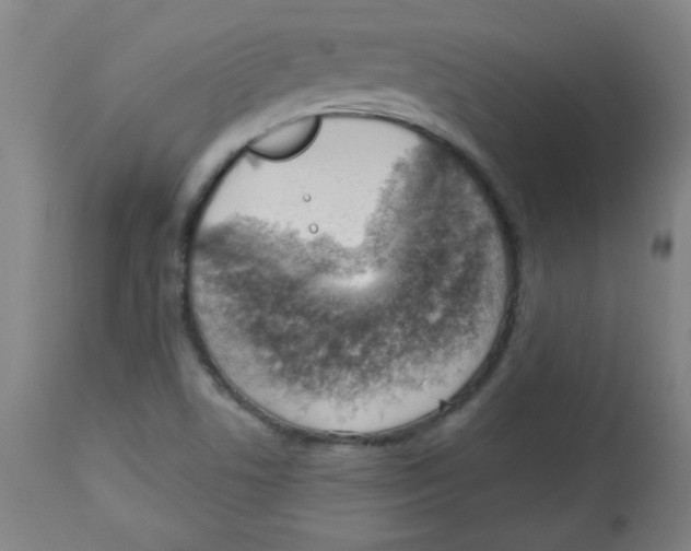 X0000113741506200910211113