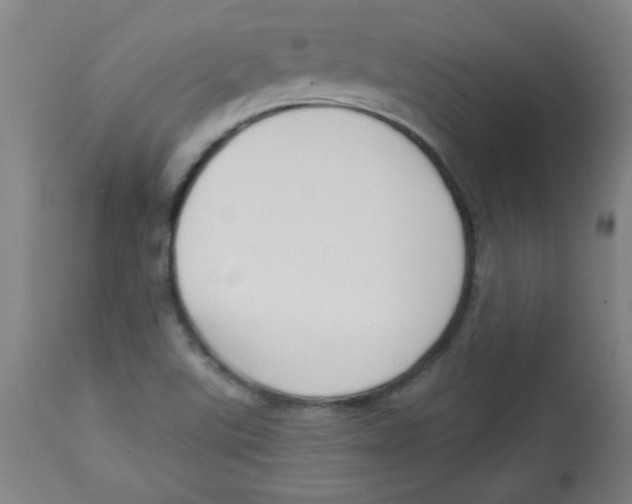 X0000113741507200910211113