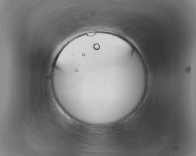 X0000113741508200910211113