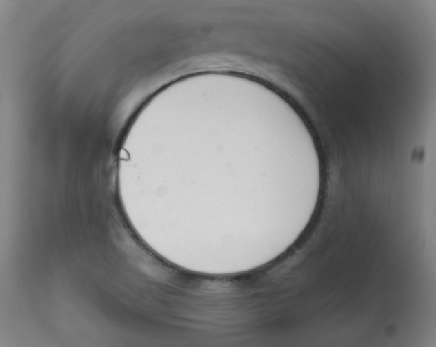 X0000113741509200910211113