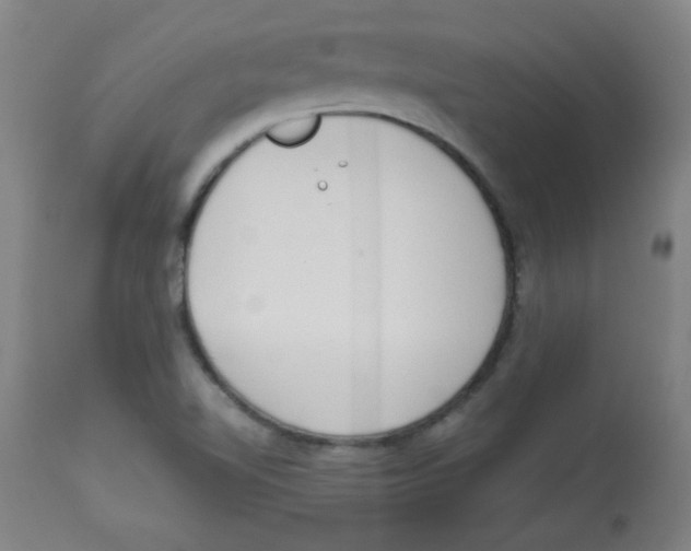 X0000113741510200910211113