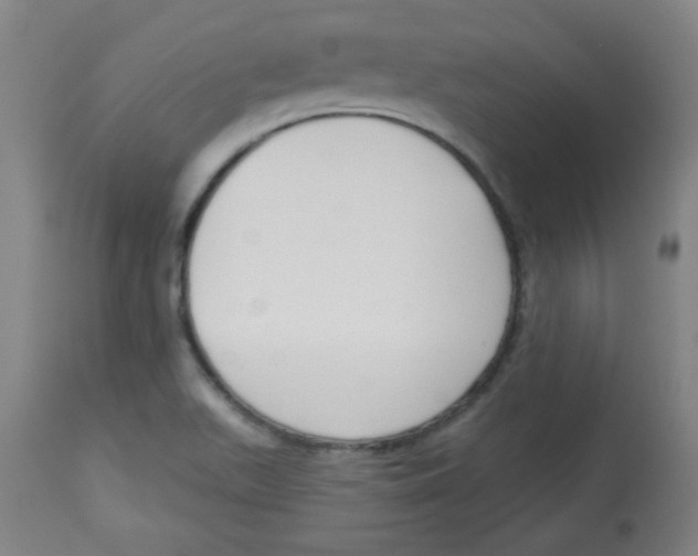 X0000113741511200910211113