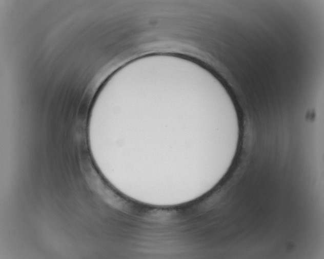 X0000113741513200910211113