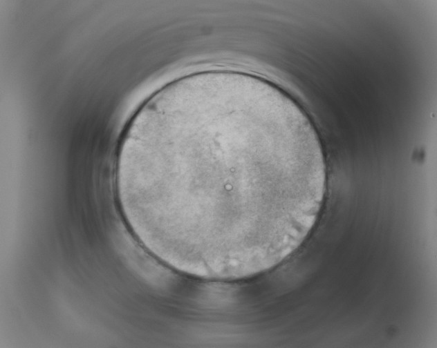 X0000113741514200910211113